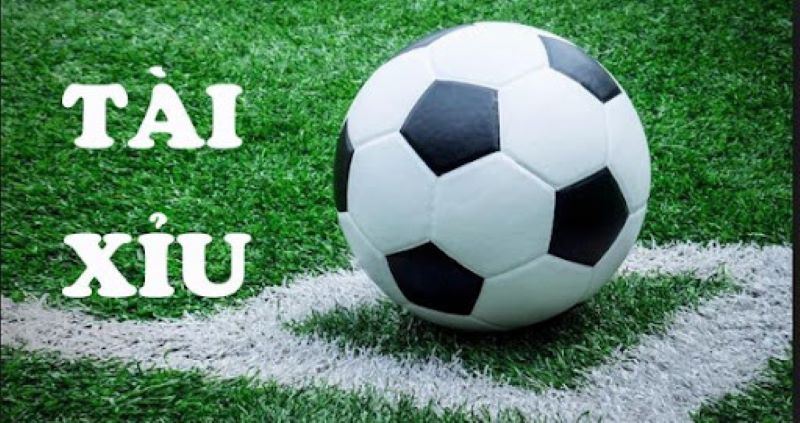 Tùy thuộc vào tính chất trận đấu có nhiều tỷ lệ kèo tài xỉu khác nhau 