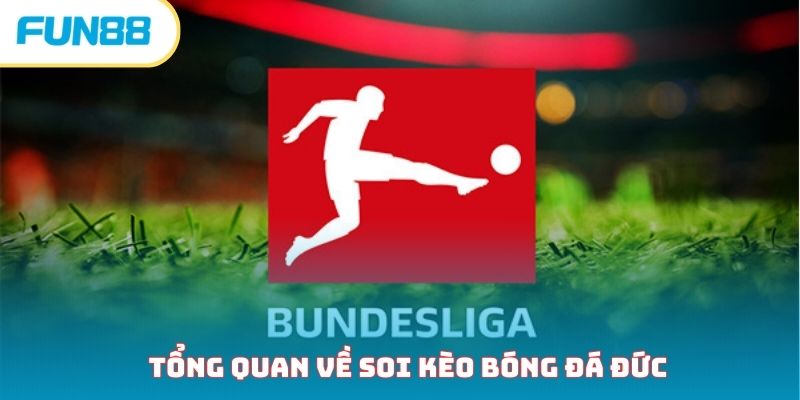 Thông tin cơ bản về loại hình soi kèo bóng đá Đức